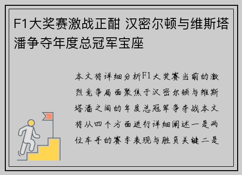 F1大奖赛激战正酣 汉密尔顿与维斯塔潘争夺年度总冠军宝座